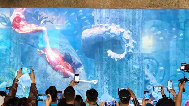 Show biểu diễn Nàng tiên cá tại VinWonders Nha Trang