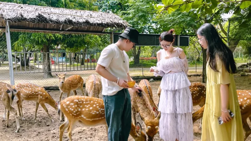 Du khách tham quan vườn động vật tại Đảo Hoa Lan Nha Trang với nhiều loài động vật thân thiện