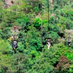 Du khách trải nghiệm Zipline băng qua rừng thông tại Thác Datanla Đà Lạt