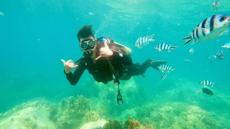 Scuba diving at Hon Mun with tropical fish swimming around colorful coral reefs in Nha Trang