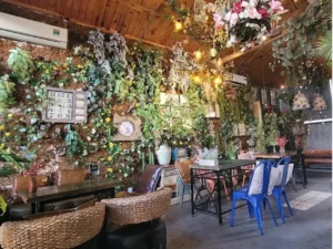 Thiết kế vintage kết hợp thiên nhiên bên trong Jungle Coffee Nha Trang