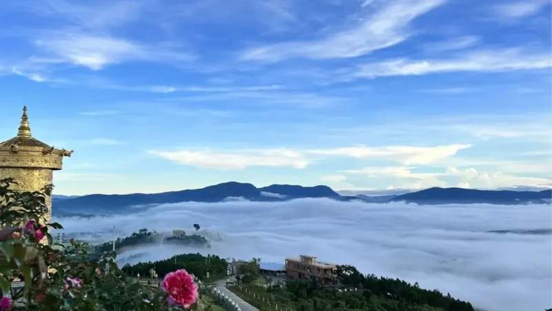 Trải nghiệm săn mây và đón bình minh tại Đà Lạt cùng Sea You Travel với biển mây bồng bềnh.