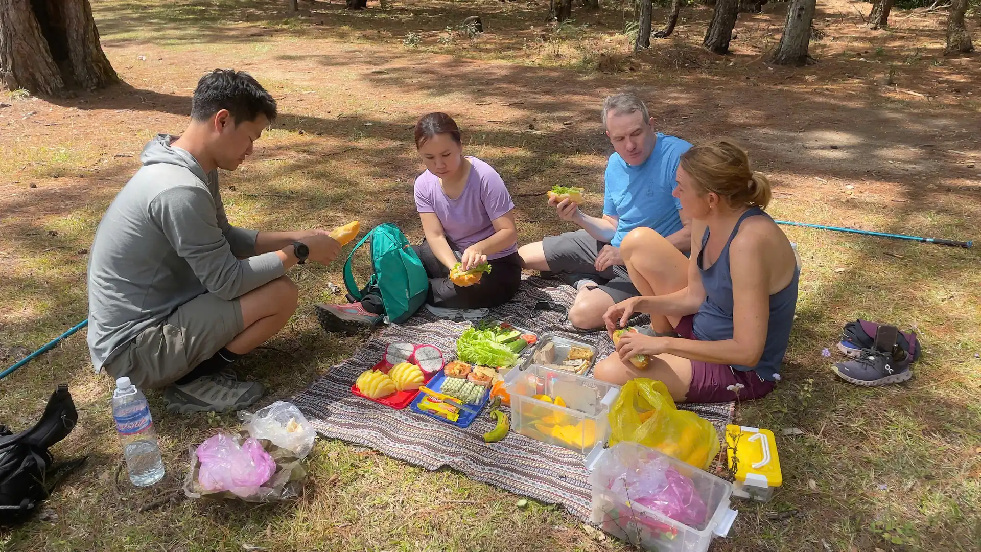 Travelers enjoying picnic lunch with banh mi and fruits in Dalat pine forest Hikers seated on a mat enjoying Vietnamese banh mi sandwiches, fresh fruits and salad during forest lunch break